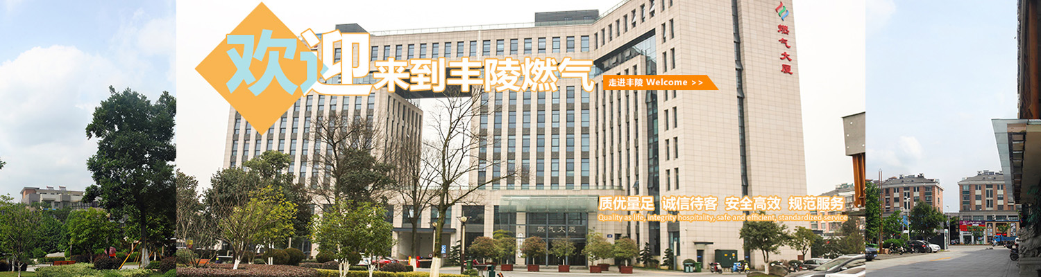 大型垃圾分揀設備
